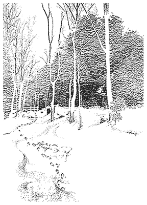"The Snow Angel" � TA Snyder