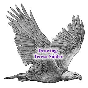 eagle_flying_lg.jpg (15090 bytes)