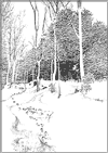 "The Snow Angel" � TA Snyder